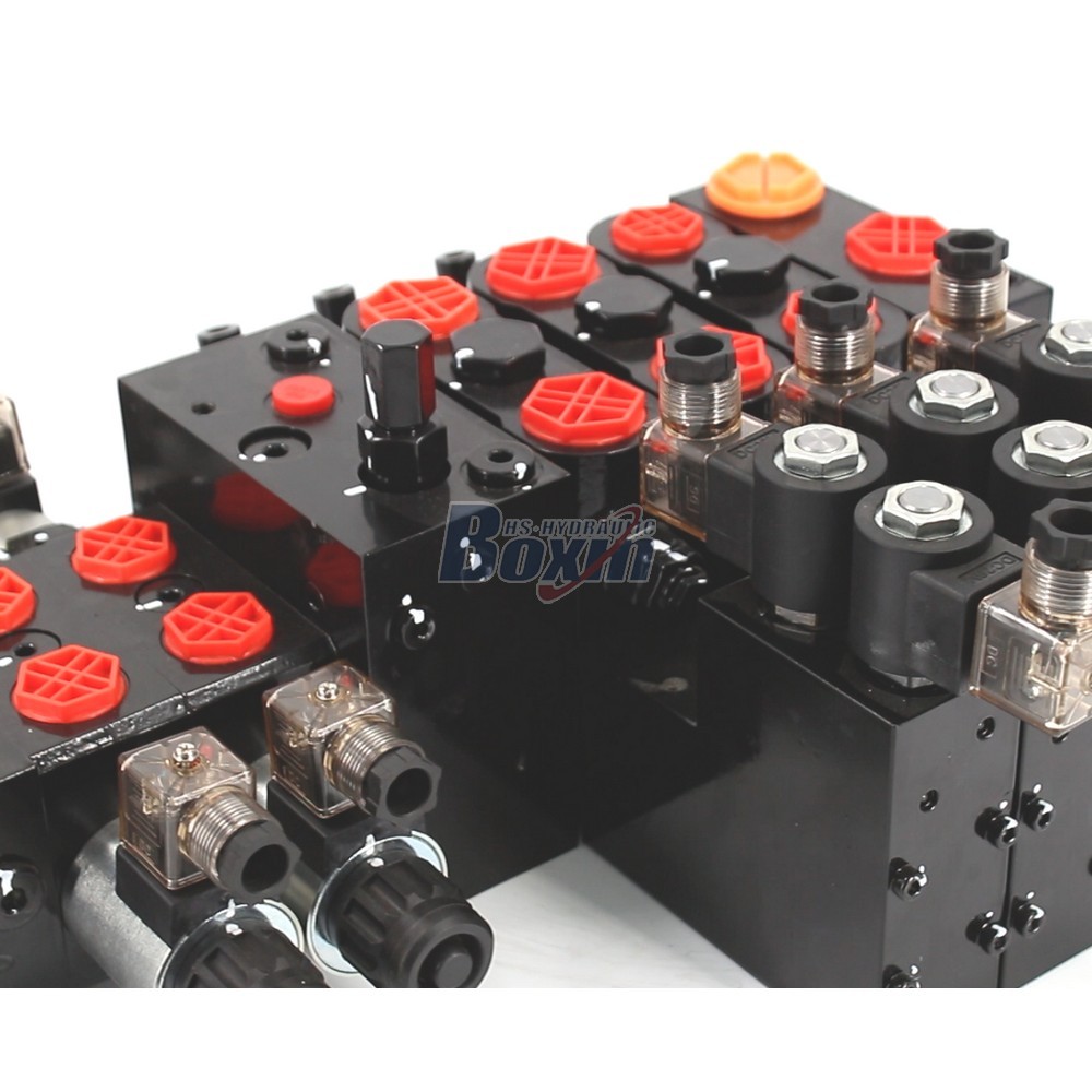 Seeking Global Distributors and Wholesalers for DCV100E DCV58 Valves detail image